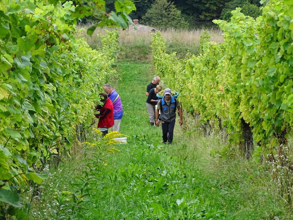 Farm Stay Frank Ozmec Ljutomer Zewnętrze zdjęcie