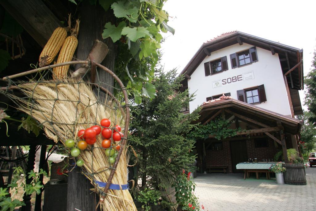 Farm Stay Frank Ozmec Ljutomer Zewnętrze zdjęcie